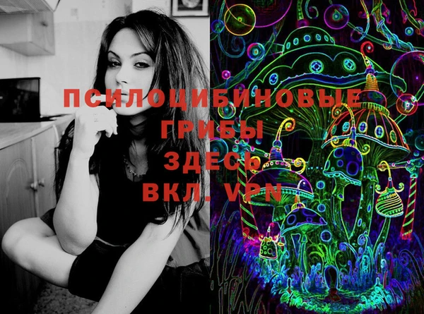 МДПВ Ельня