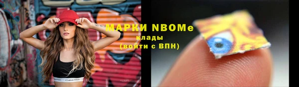 твердый Арсеньев