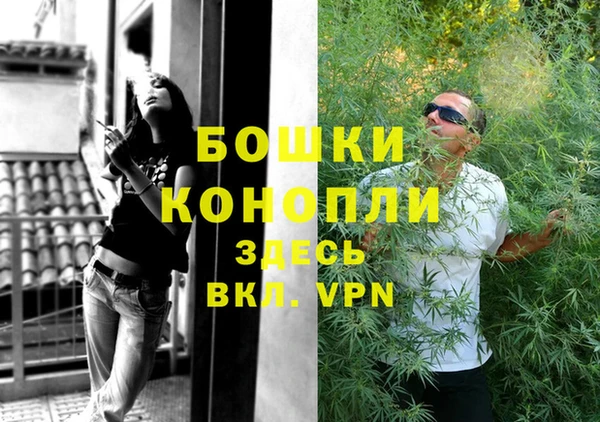 дживик Елизово