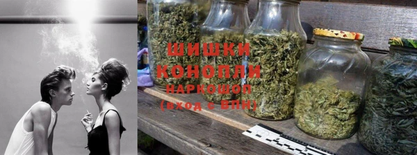 МДПВ Ельня