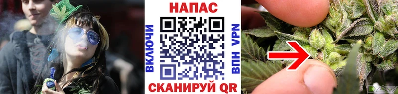 Бошки марихуана Bruce Banner  купить  цена  Серов 